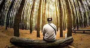 A young man sitting on a log in the woods